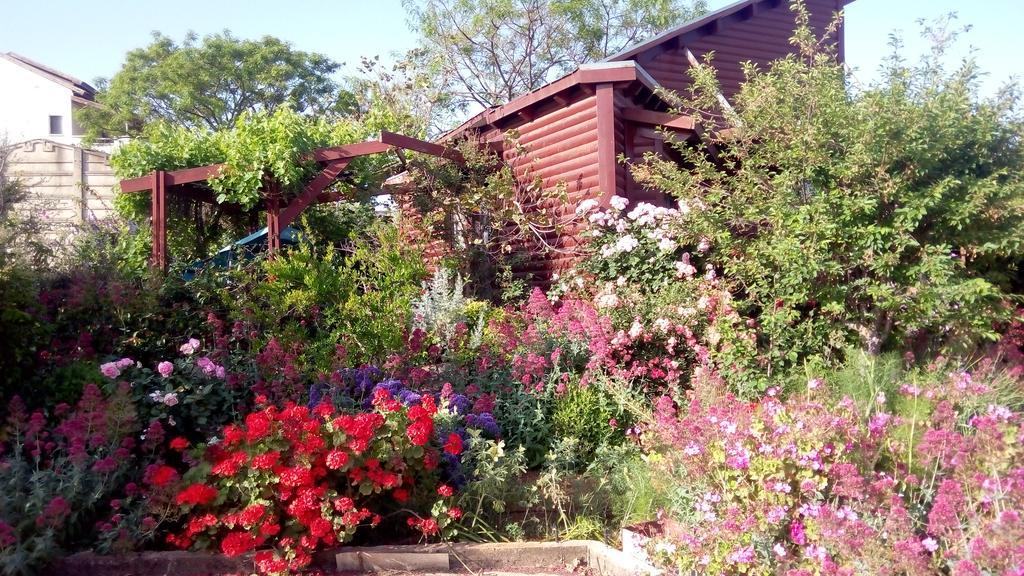 Hahar Aatzil Villa Hazon Dış mekan fotoğraf