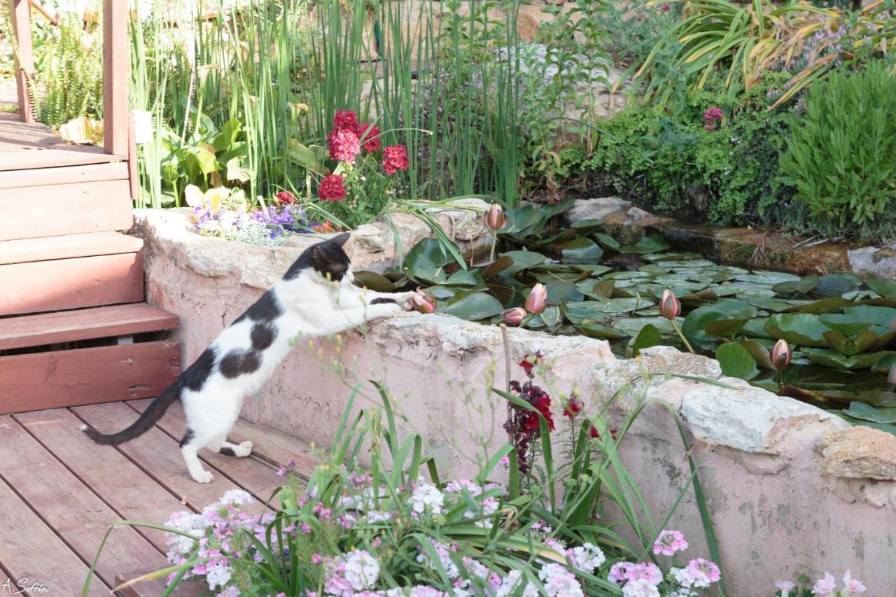 Hahar Aatzil Villa Hazon Dış mekan fotoğraf